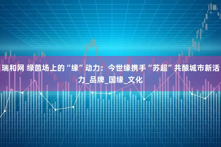 瑞和网 绿茵场上的“缘”动力：今世缘携手“苏超”共酿城市新活力_品牌_国缘_文化