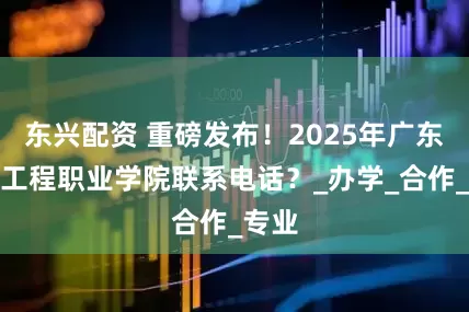 东兴配资 重磅发布！2025年广东信息工程职业学院联系电话？_办学_合作_专业