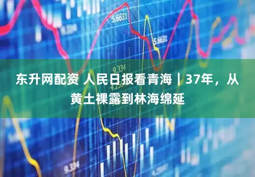 东升网配资 人民日报看青海｜37年，从黄土裸露到林海绵延