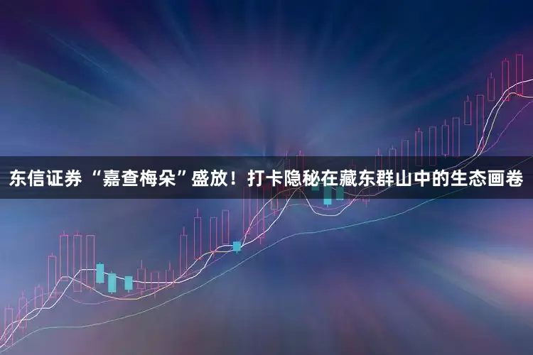 东信证券 “嘉查梅朵”盛放！打卡隐秘在藏东群山中的生态画卷